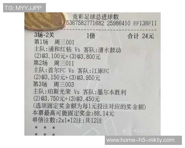 首尔与墨尔本胜利实时比分更新及赛况分析尽在此处